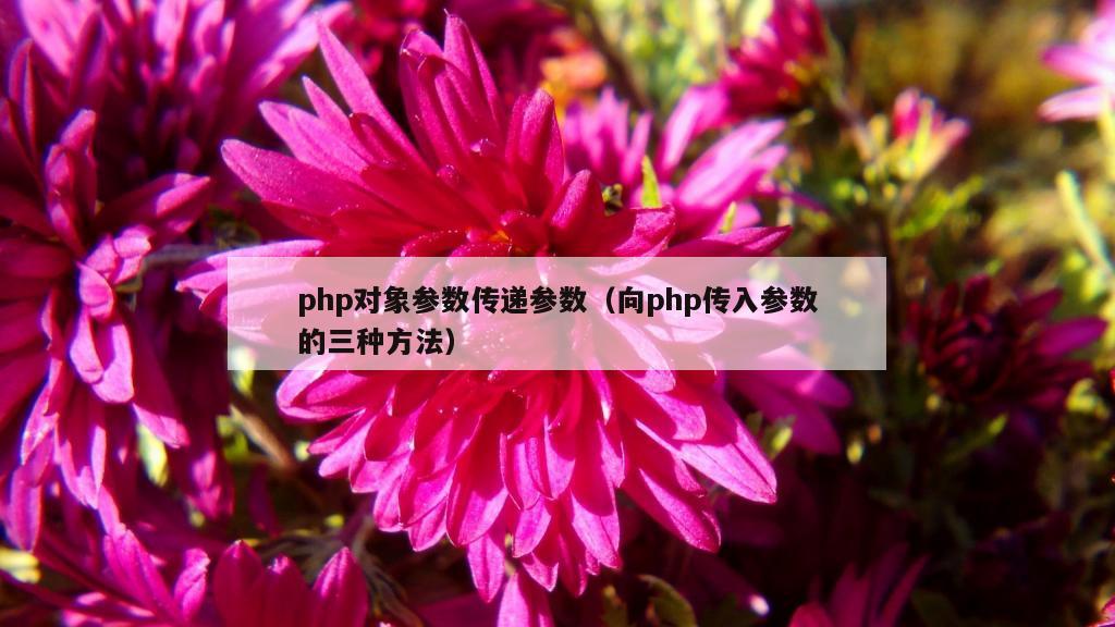 php对象参数传递参数（向php传入参数的三种方法）