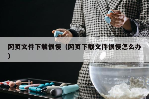 网页文件下载很慢（网页下载文件很慢怎么办）