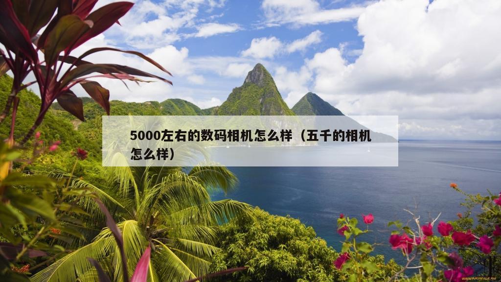 5000左右的数码相机怎么样（五千的相机怎么样）