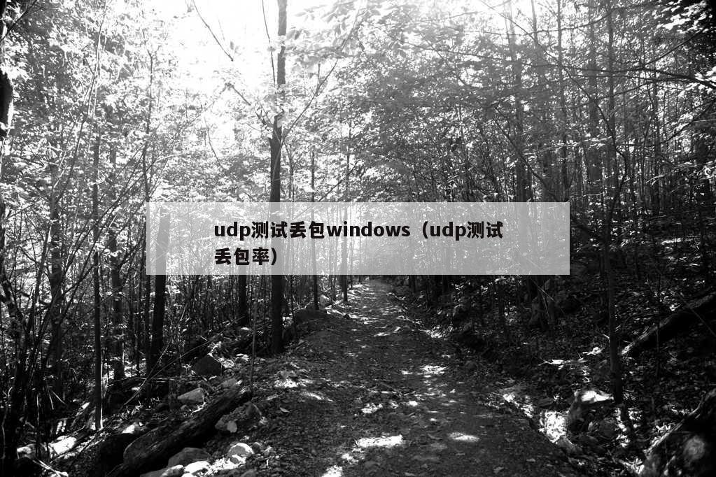 udp测试丢包windows（udp测试丢包率）