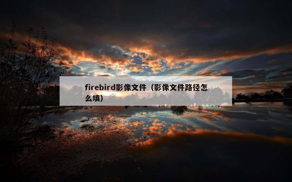 firebird影像文件（影像文件路径怎么填）