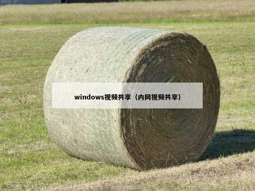 windows视频共享（内网视频共享）