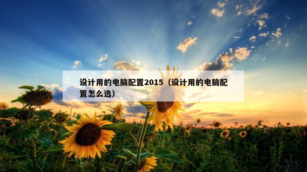 设计用的电脑配置2015（设计用的电脑配置怎么选）