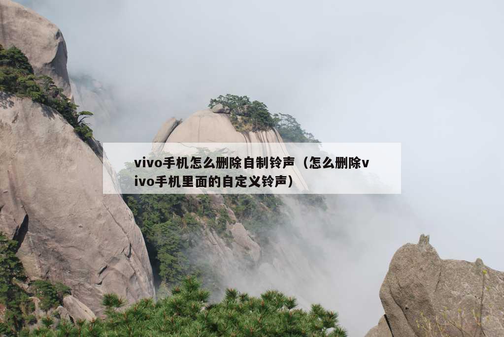 vivo手机怎么删除自制铃声（怎么删除vivo手机里面的自定义铃声）