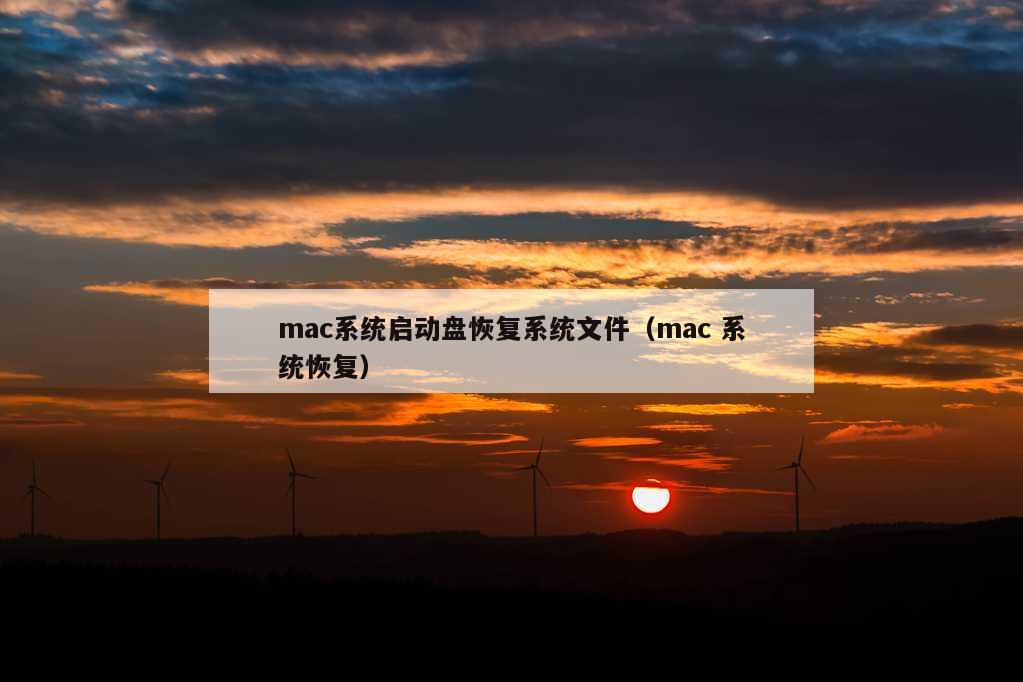 mac系统启动盘恢复系统文件（mac 系统恢复）