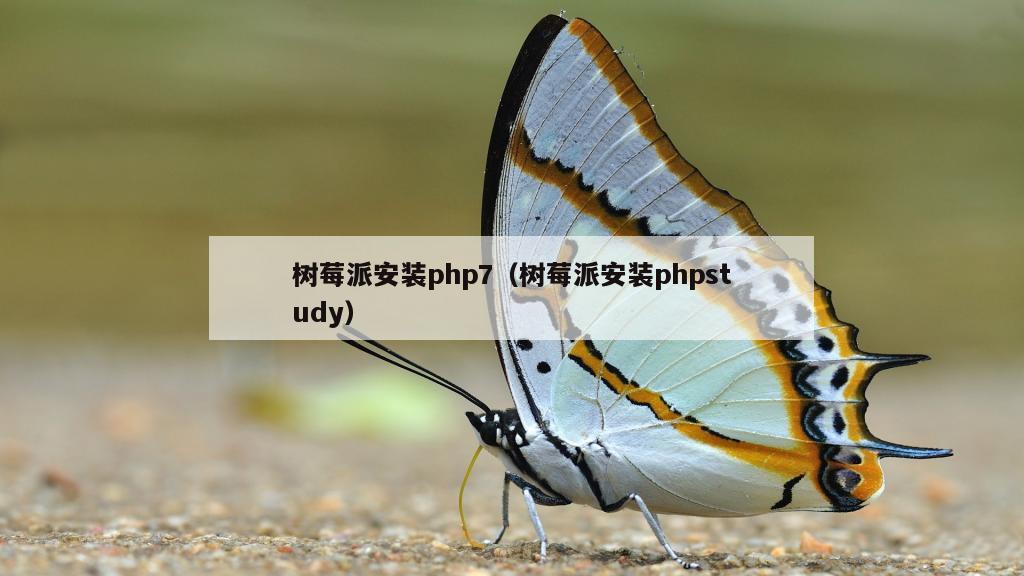 树莓派安装php7（树莓派安装phpstudy）