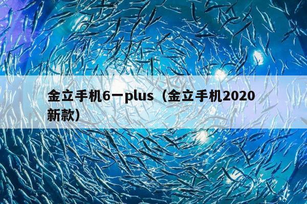 金立手机6一plus（金立手机2020 新款）