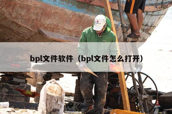 bpl文件软件（bpl文件怎么打开）