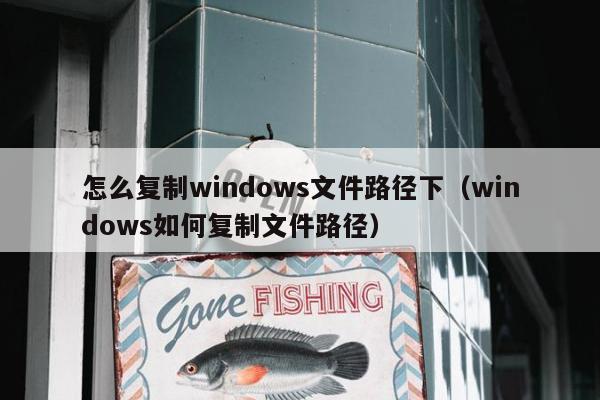 怎么复制windows文件路径下（windows如何复制文件路径）