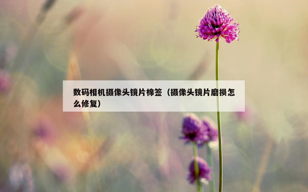 数码相机摄像头镜片棉签（摄像头镜片磨损怎么修复）