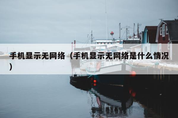 手机显示无网络（手机显示无网络是什么情况）