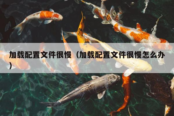 加载配置文件很慢（加载配置文件很慢怎么办）