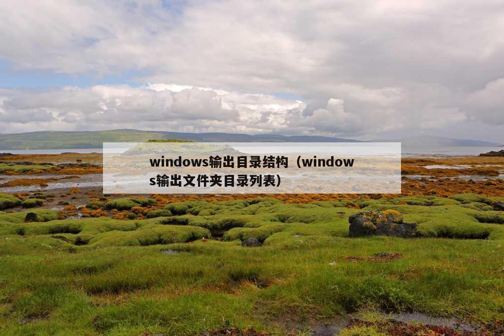 windows输出目录结构（windows输出文件夹目录列表）