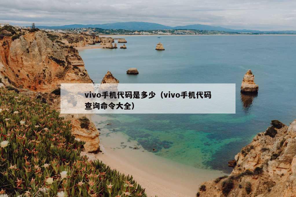 vivo手机代码是多少（vivo手机代码查询命令大全）