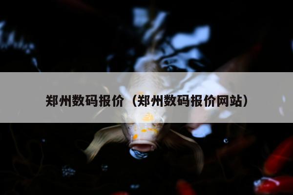 郑州数码报价（郑州数码报价网站）