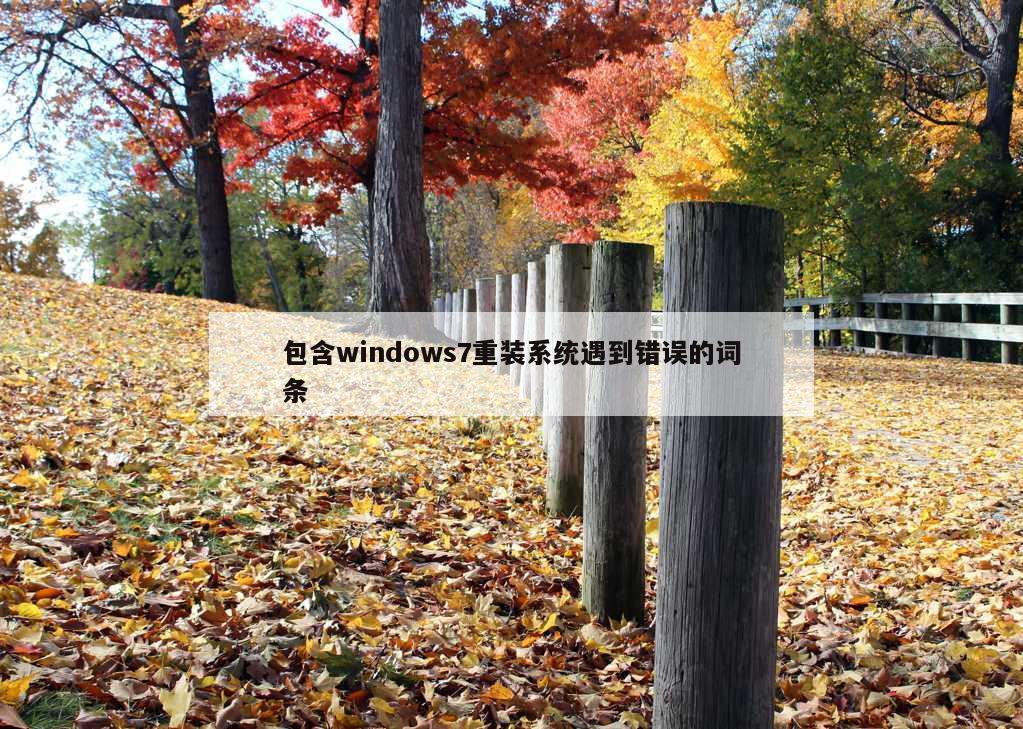 包含windows7重装系统遇到错误的词条