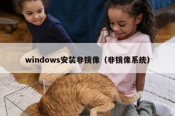 windows安装非镜像（非镜像系统）