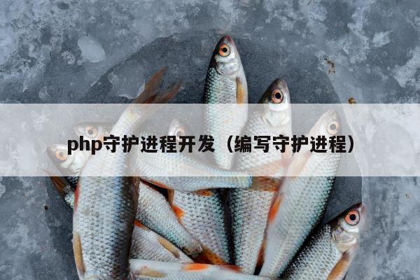 php守护进程开发（编写守护进程）