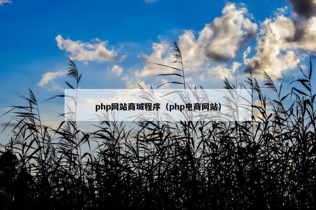 php网站商城程序（php电商网站）