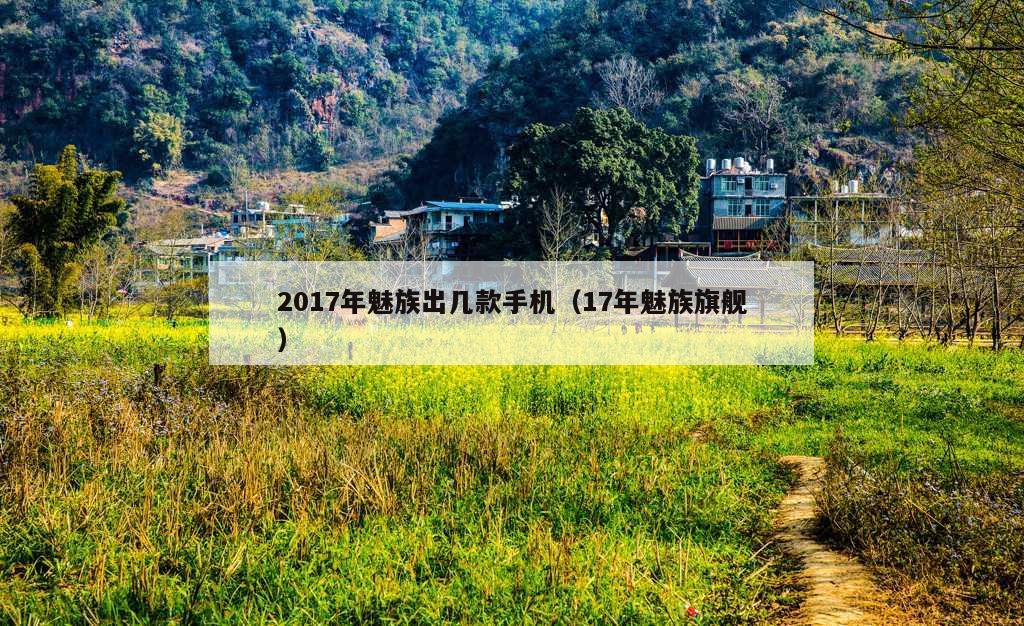 2017年魅族出几款手机（17年魅族旗舰）