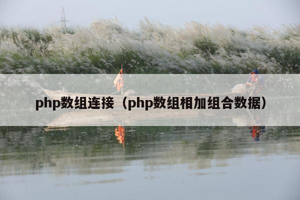 php数组连接（php数组相加组合数据）