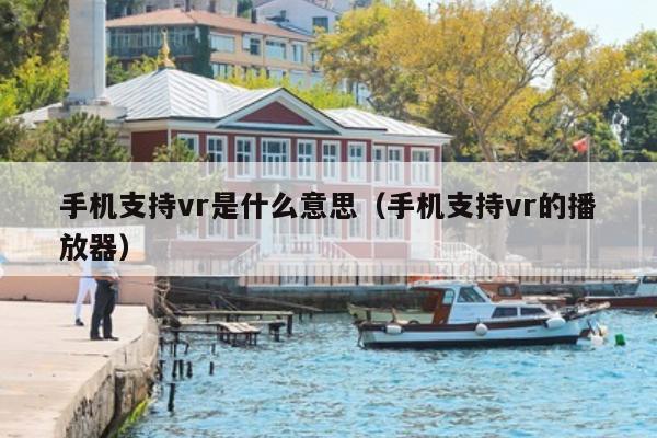 手机支持vr是什么意思（手机支持vr的播放器）