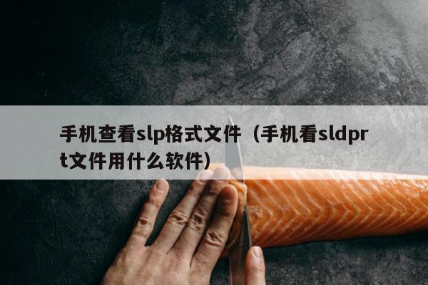 手机查看slp格式文件（手机看sldprt文件用什么软件）