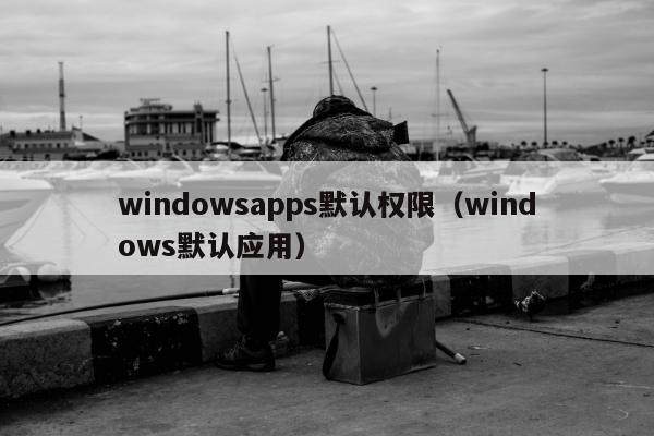 windowsapps默认权限（windows默认应用）