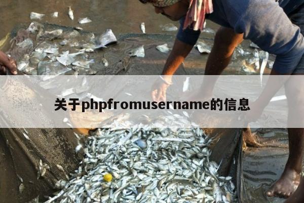 关于phpfromusername的信息