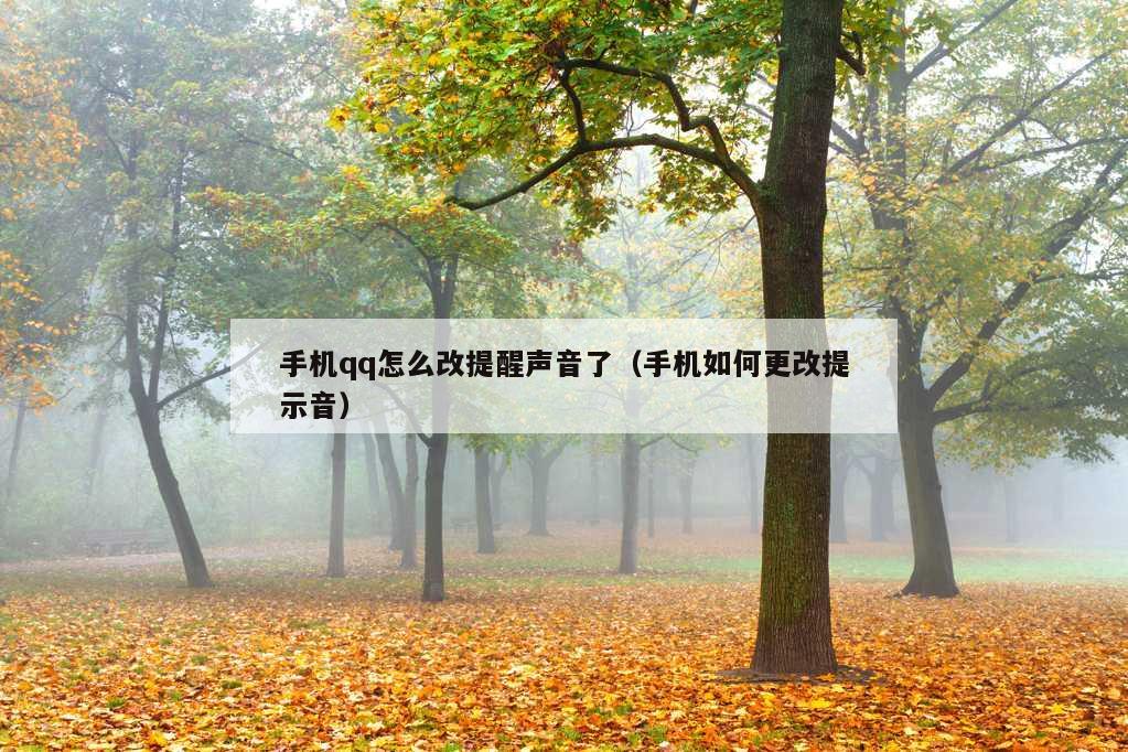 手机qq怎么改提醒声音了（手机如何更改提示音）