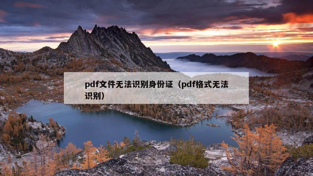 pdf文件无法识别身份证（pdf格式无法识别）