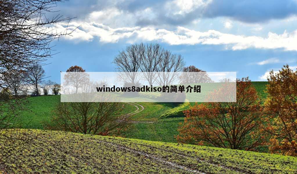 windows8adkiso的简单介绍