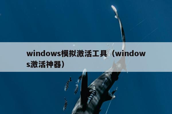 windows模拟激活工具（windows激活神器）