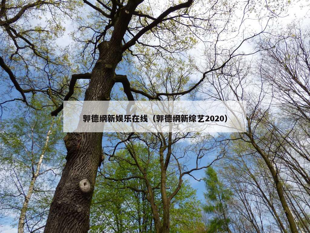 郭德纲新娱乐在线（郭德纲新综艺2020）