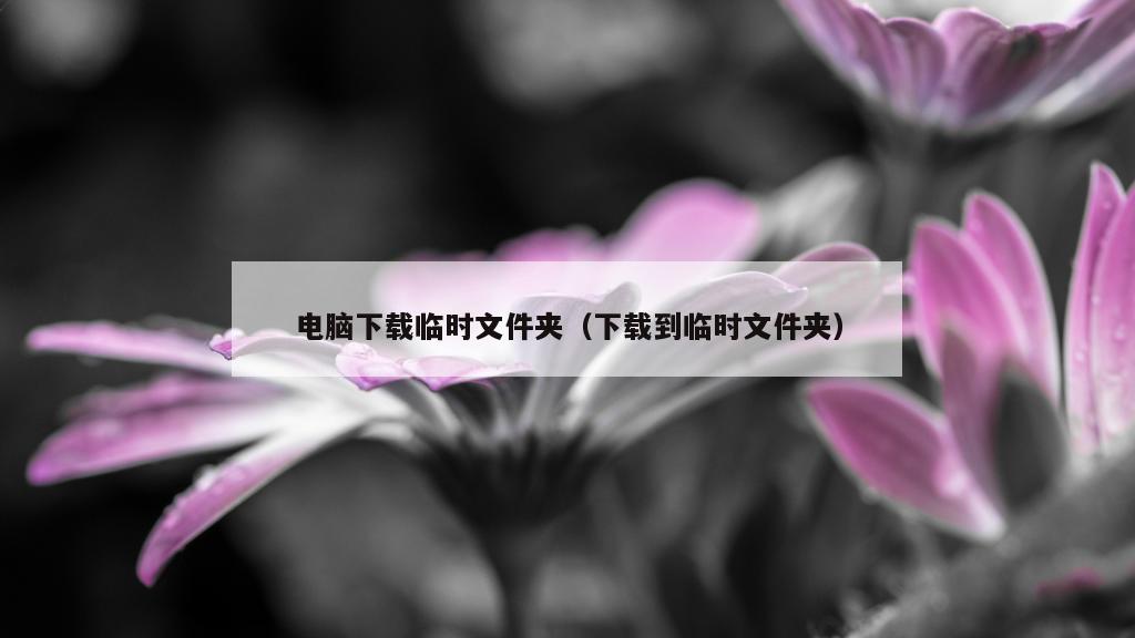 电脑下载临时文件夹（下载到临时文件夹）