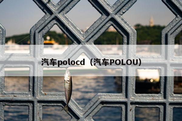 汽车polocd（汽车POLOU）