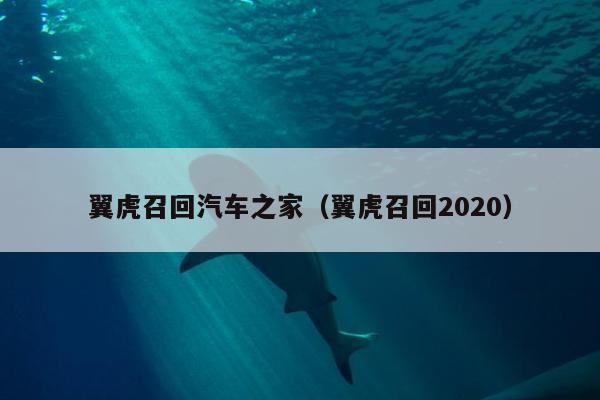 翼虎召回汽车之家（翼虎召回2020）