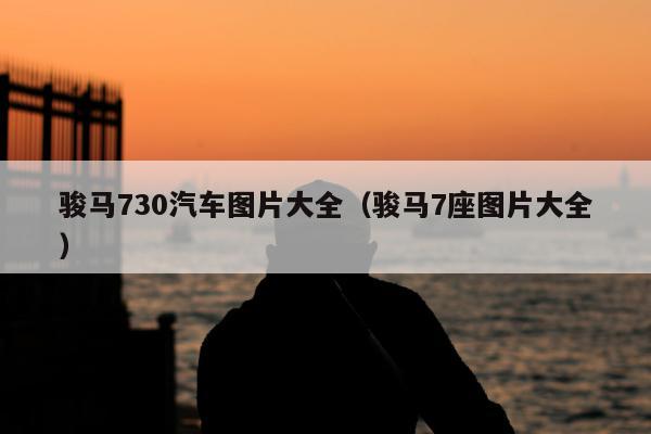 骏马730汽车图片大全（骏马7座图片大全）