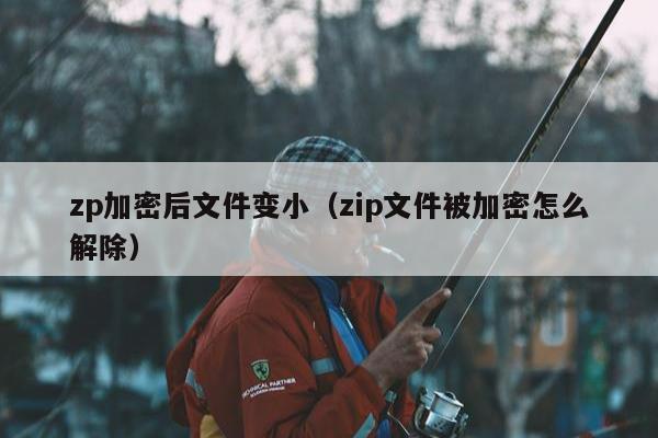 zp加密后文件变小（zip文件被加密怎么解除）