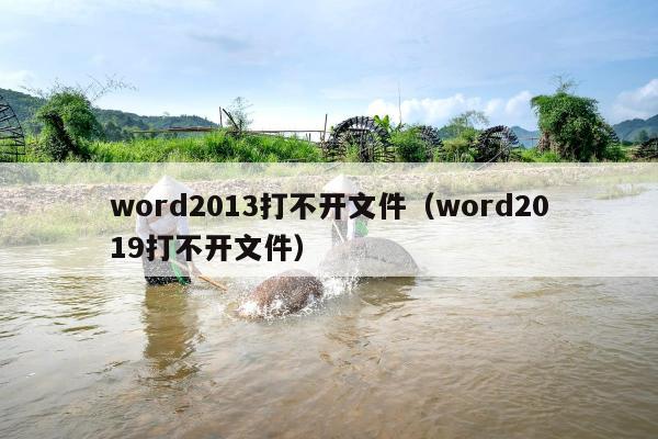 word2013打不开文件（word2019打不开文件）