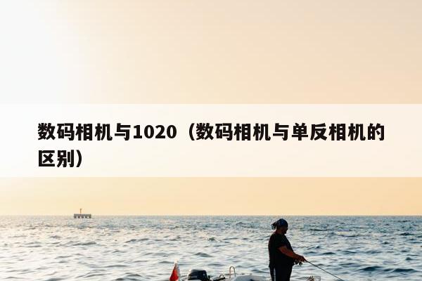 数码相机与1020（数码相机与单反相机的区别）