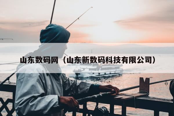 山东数码网（山东新数码科技有限公司）