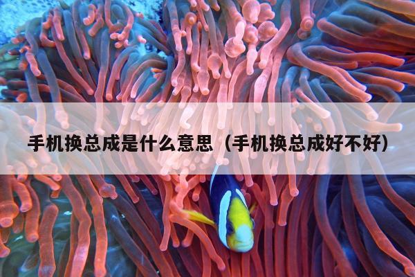 手机换总成是什么意思（手机换总成好不好）