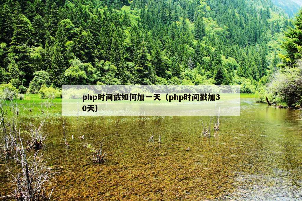 php时间戳如何加一天（php时间戳加30天）