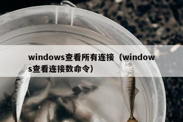 windows查看所有连接（windows查看连接数命令）