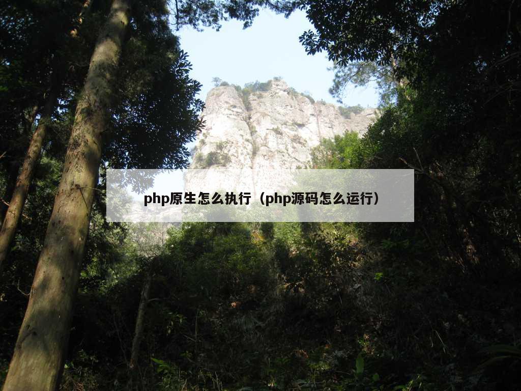 php原生怎么执行（php源码怎么运行）