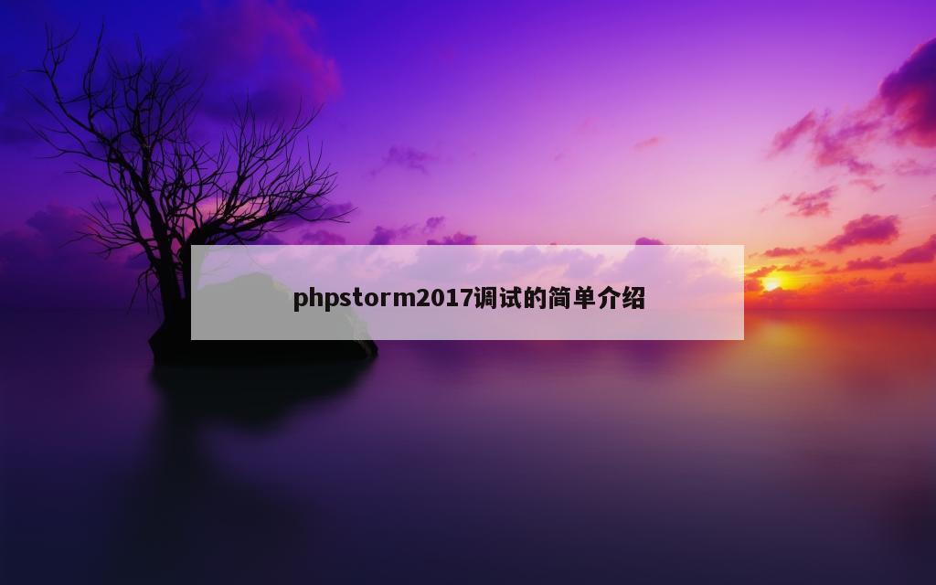 phpstorm2017调试的简单介绍