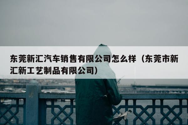 东莞新汇汽车销售有限公司怎么样（东莞市新汇新工艺制品有限公司）