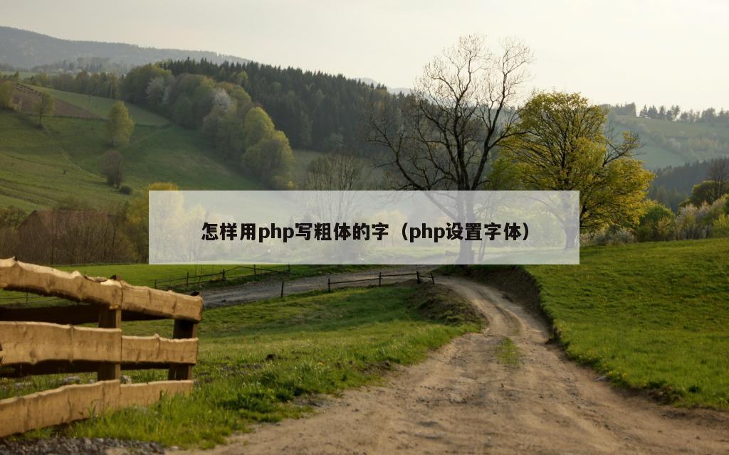 怎样用php写粗体的字（php设置字体）