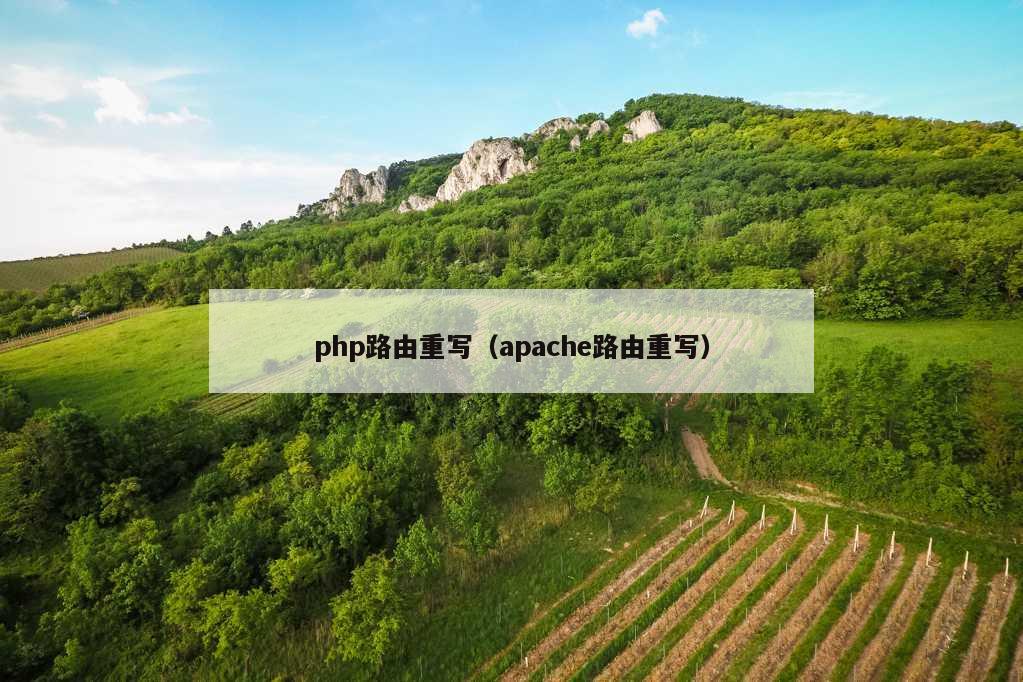 php路由重写（apache路由重写）